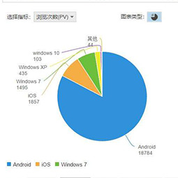 網(wǎng)站訪客分析